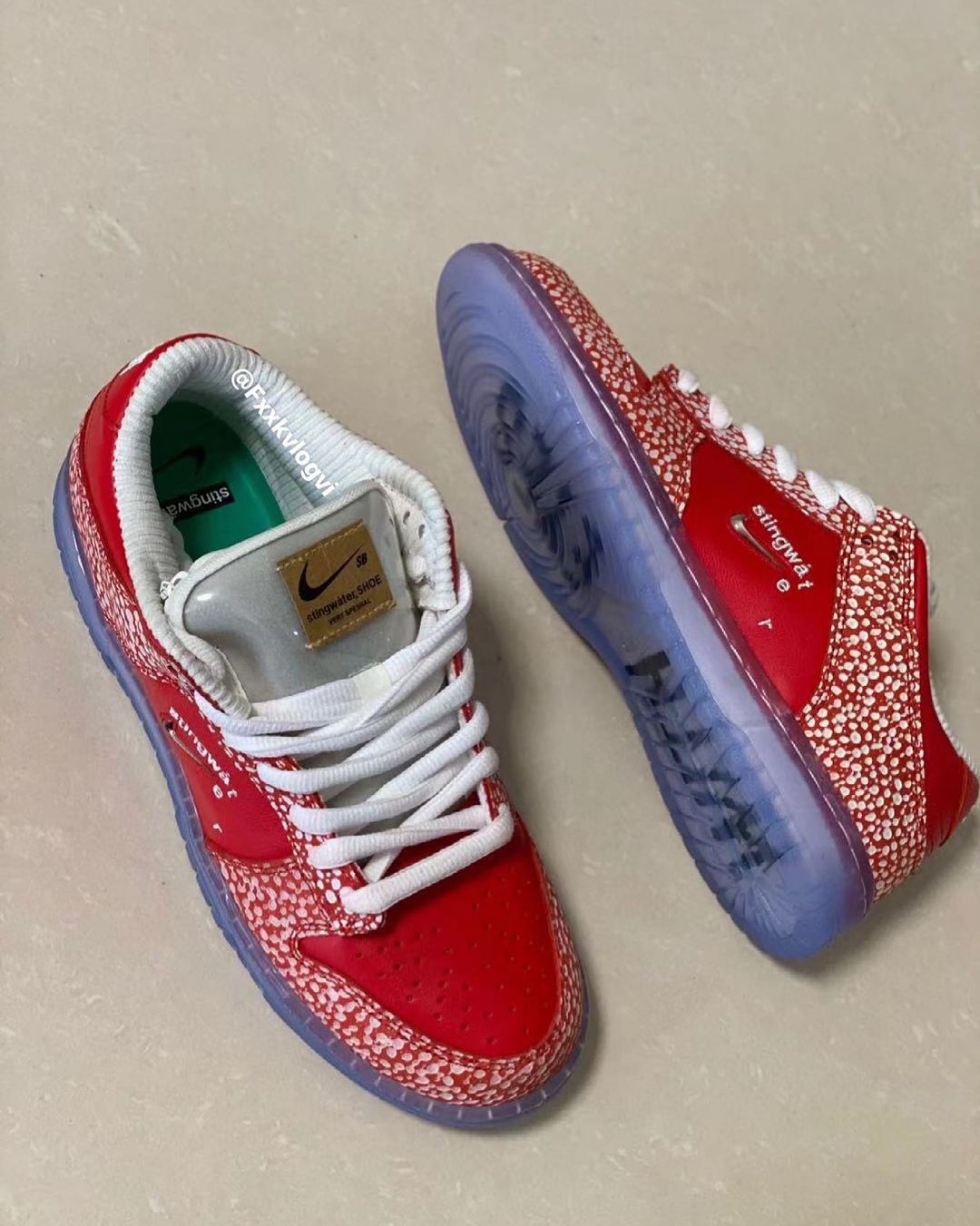 stingwater-nike-sb-dunk-low